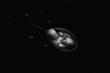 新生儿摄影-我的2019-人像-黑白-聚光灯 图片素材