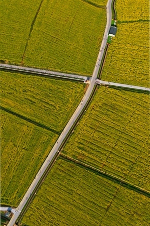 春天的色彩……-手机:)门口的故事……-手机:)夹缝与阳光……-📷:)檽星门里有檽星-📷:)小燕子的故乡…… 图片素材