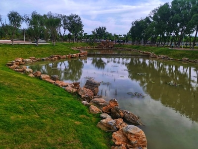 固原市-我要上封面-自然-有趣的瞬间-风景 图片素材