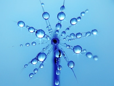 微观世界-微距-水滴-水珠-水滴 图片素材