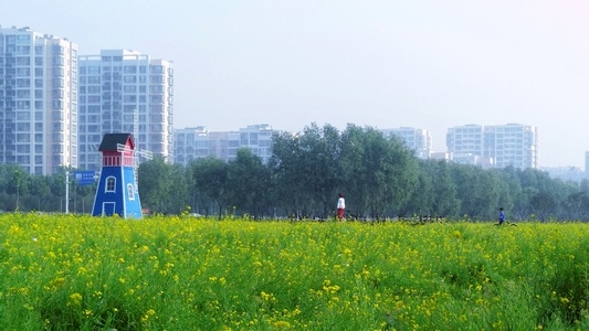人物-花-色彩-花-花卉 图片素材