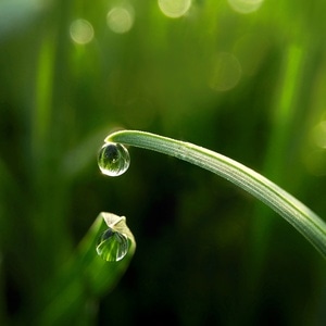 微距-色彩-水珠-水珠-水滴 图片素材