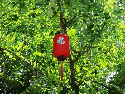 灯笼-叶子-光-色彩-灯笼 图片素材
