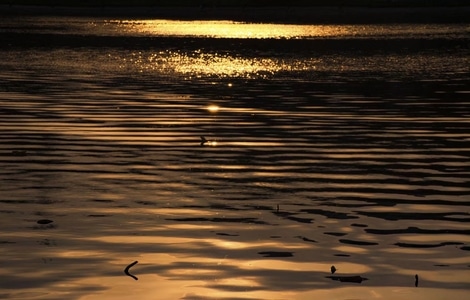 夕阳-湖面-波纹-色彩-意境 图片素材