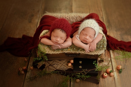 新生儿摄影-油画风-婴儿-新生儿-兄弟 图片素材