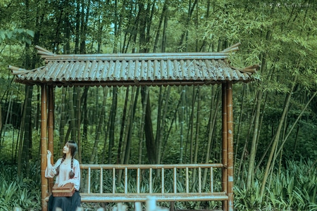 不可说原创摄影作品-中国风-意境-古风-如昔社 图片素材