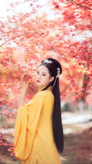 宅家-你好2020-唯美-电脑传图-古风 图片素材