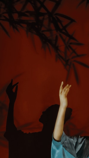 摄影师不可说-唯美-古风-她说-人像 图片素材