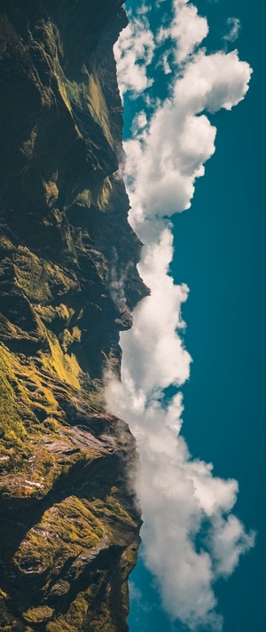 爬山-风光-树-旅行-山 图片素材