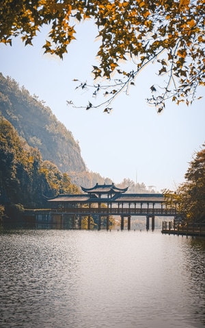 色彩-树-山-秋-湖 图片素材
