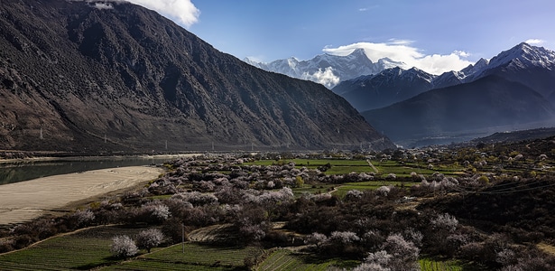 林芝-雪山-风景-风光-自然 图片素材