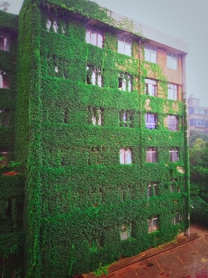 旅行-手机-自己-生活-建筑 图片素材