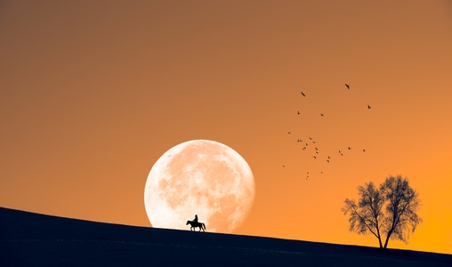 旅行-剪影-月亮-夕阳-风景 图片素材