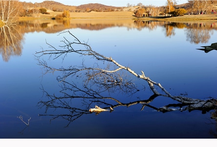 旅行-塞罕坝-公主湖-白桦林-风景 图片素材