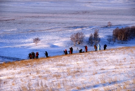 坝上-风光-旅游-雪-雪景 图片素材