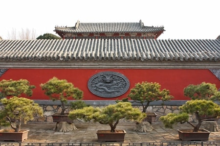 色彩-古建-腊梅-纪实-古建筑 图片素材
