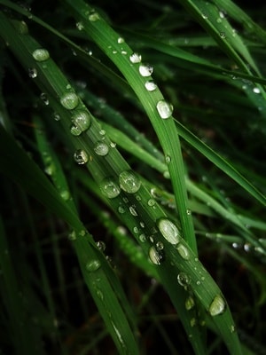 氛围-色彩-视角-随拍-记录 图片素材