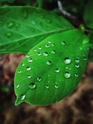 记录-视角-色彩-花草-氛围 图片素材