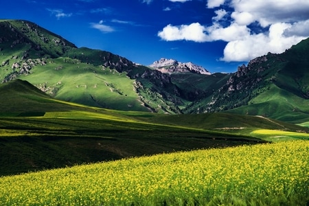 路边随拍-季节-风景-风景-风光 图片素材
