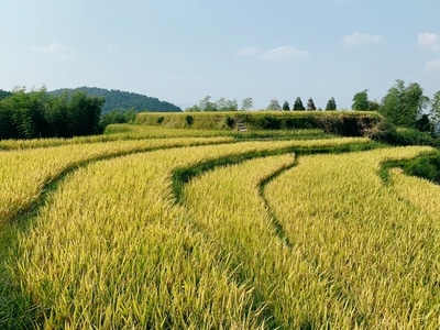 生活-手机摄影-iphone-xs-旅行 图片素材