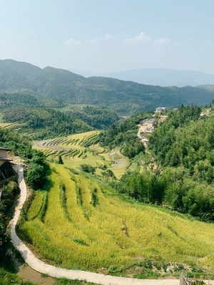生活-手机摄影-iphone-xs-旅行 图片素材