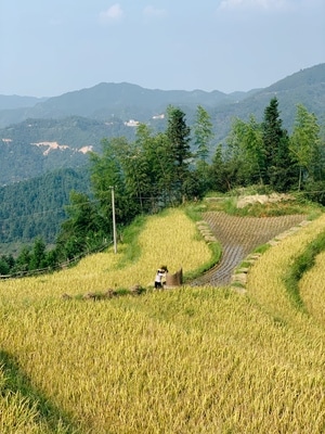 生活-手机摄影-iphone-xs-旅行 图片素材