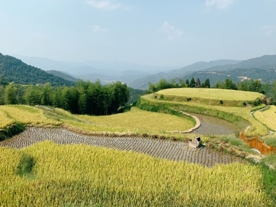 生活-手机摄影-iphone-xs-旅行 图片素材