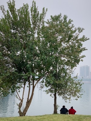 手机摄影-生活-iphone-xs-扫街 图片素材