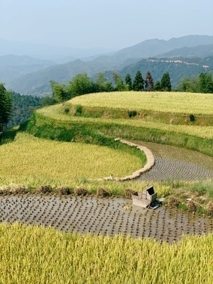 生活-手机摄影-iphone-xs-旅行 图片素材