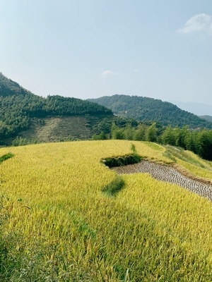 生活-手机摄影-iphone-xs-旅行 图片素材