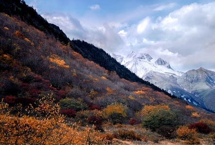 黄龙-高海拔-旅游-风光-自然 图片素材