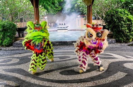 你好2020-文化-传统-舞狮-春节 图片素材