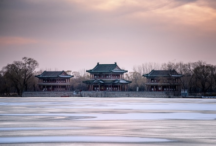 树-慕色-初雪-云-自然 图片素材