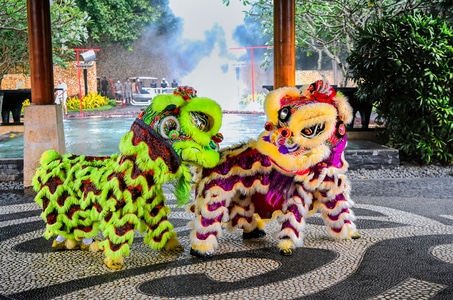你好2020-文化-传统-舞狮-春节 图片素材