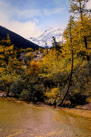 云-雪山-山-水-树 图片素材