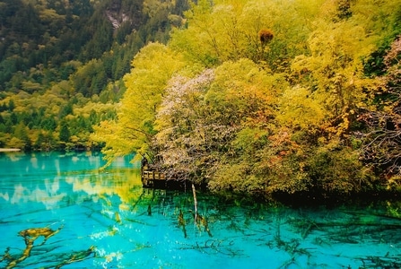 尘世烟火-旅游-高海拔-风光-自然 图片素材