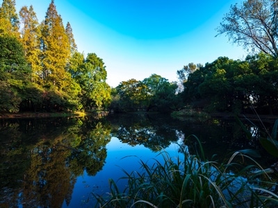风光-反光-风景-湖-湖泊 图片素材