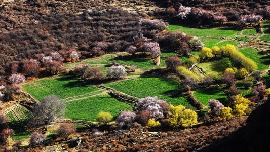 林芝-桃花节-岩石-风景-风光 图片素材