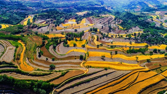 风光-乡间-梯田-大地-风光 图片素材
