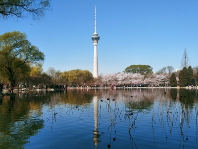 旅行-路过-杆-灯塔-清真寺 图片素材
