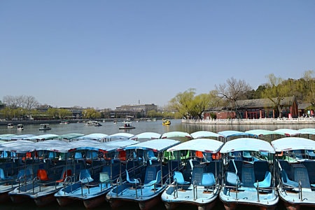 旅行-路过-公园-观光船-船 图片素材