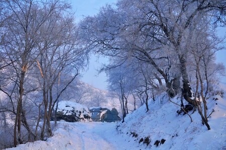 雪世界-风景-雪-雪地-雪路 图片素材
