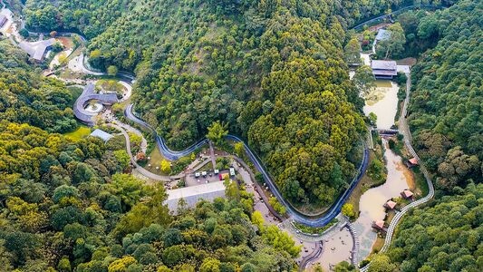 旅行-南宁-高峰森林公园-风光-广西 图片素材