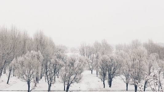 冬季-雪-大坝-水库-自然 图片素材