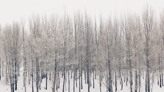 冬季-雪-大坝-水库-自然 图片素材