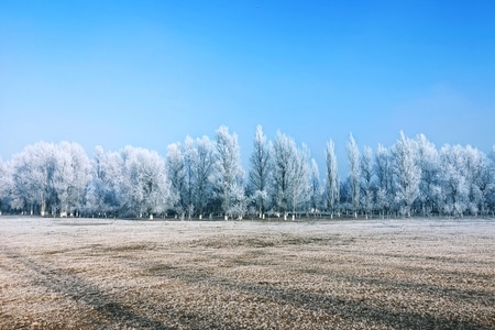冬日暖阳-形状-光影-蓝-华为 图片素材