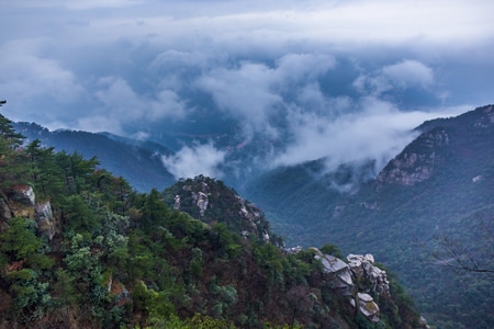 旅游-庐山-云-树-风景 图片素材
