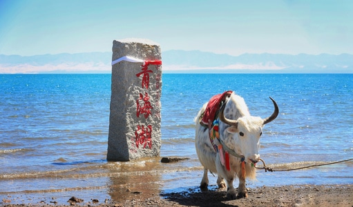 色彩-旅行-风光-西北-自然 图片素材