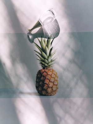 手机摄影-光影-菠萝-水果-食物 图片素材