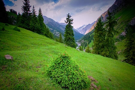风景-美景-自然-盛世华年-风光 图片素材